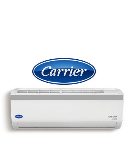 carrier